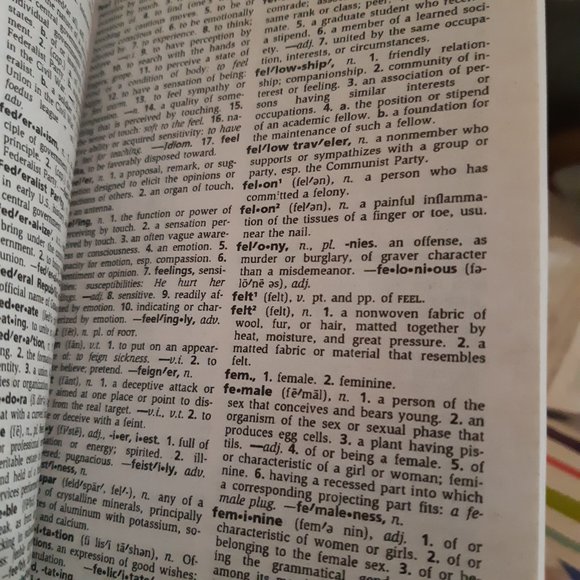 Canadian Thesaurus And Webster's Dictionary - Picture 4 of 8